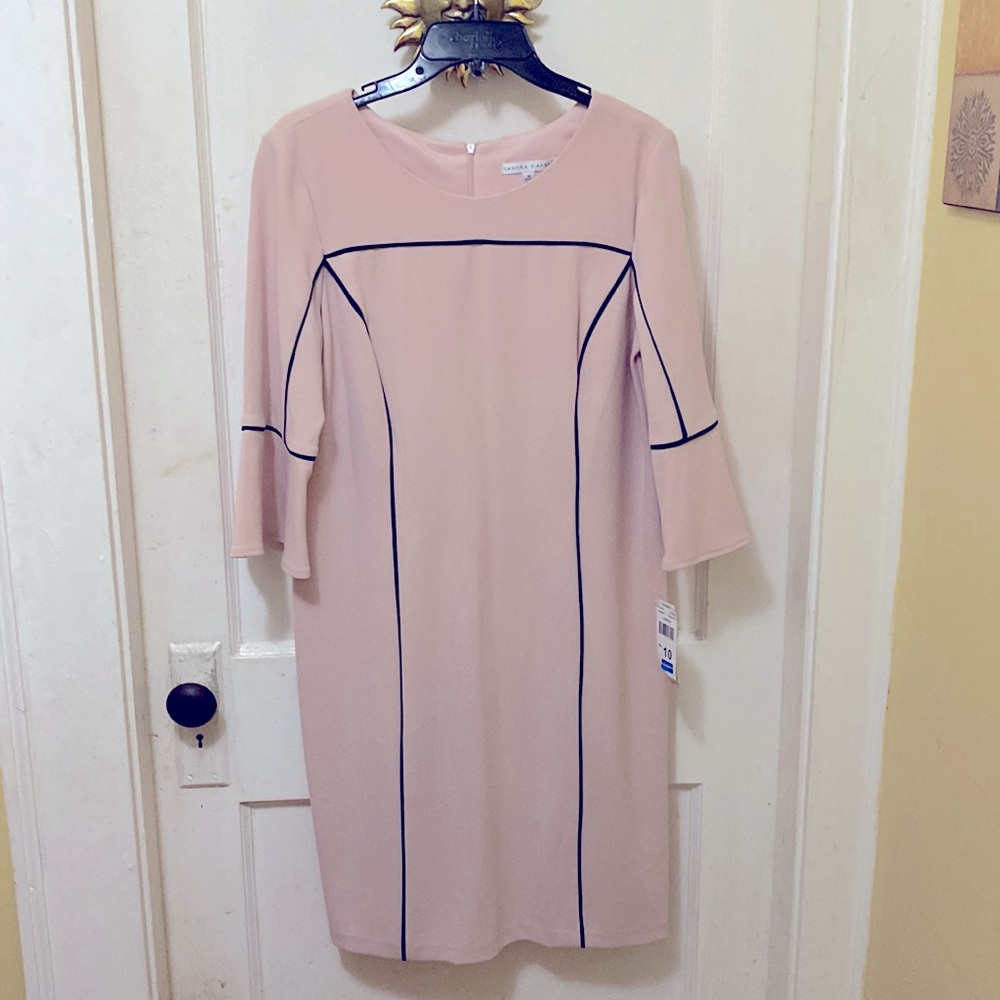 Sandra Darren NWT blush pink dress 10